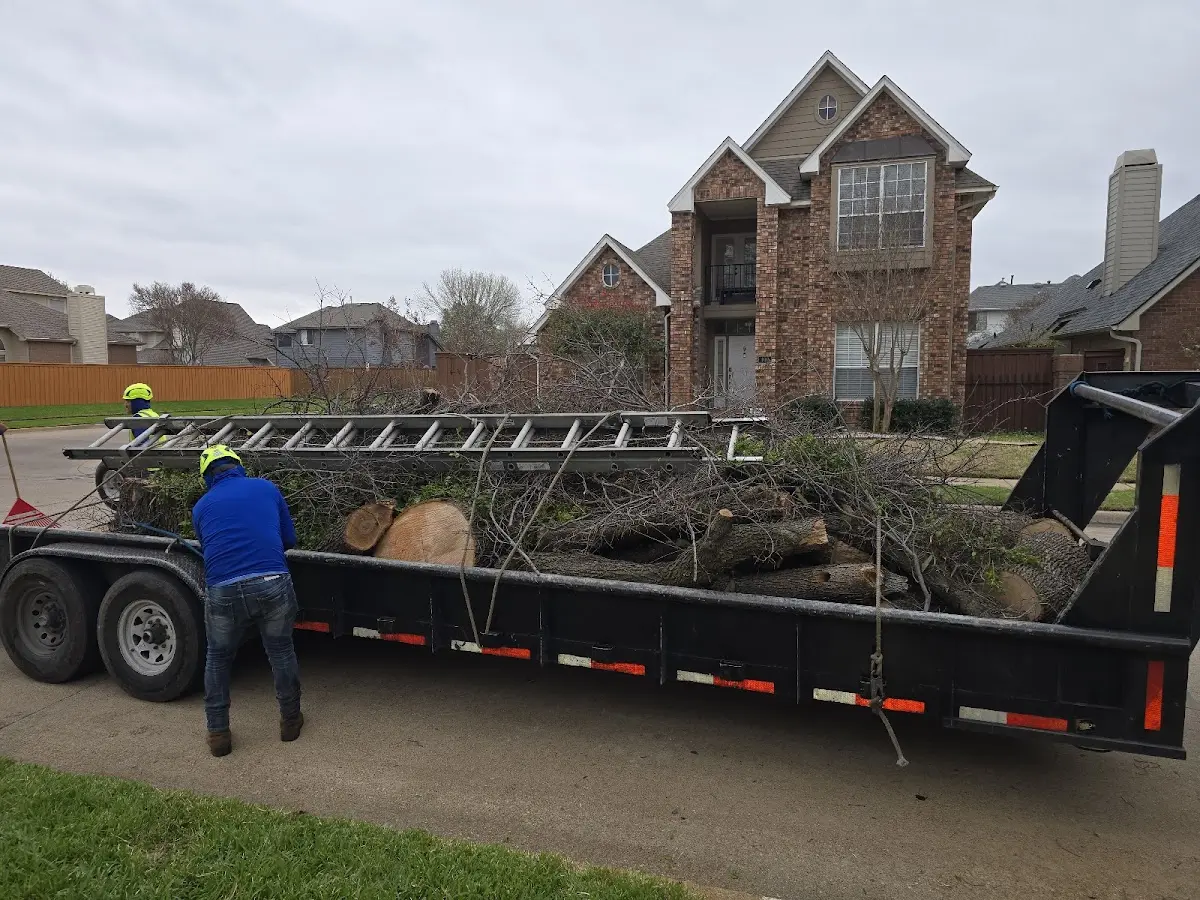 Expert Tree Fertilization with proper safety equipment in Thompsonville